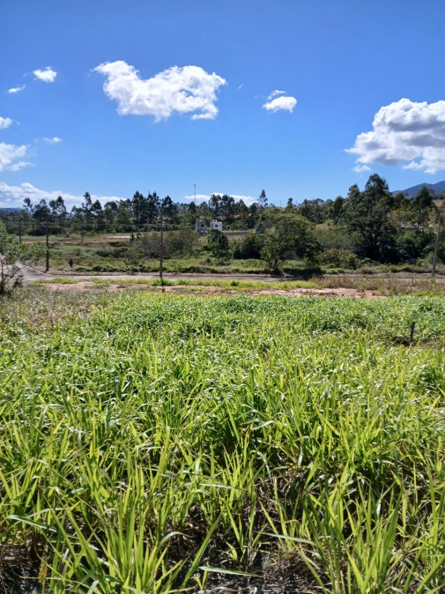Terreno - Venda - Areais de Baixo - Governador Celso Ramos - SC