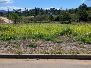 Terreno - Venda - Areais de Baixo - Governador Celso Ramos - SC