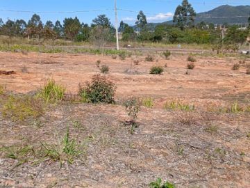 Terreno - Venda - Areais de Baixo - Governador Celso Ramos - SC