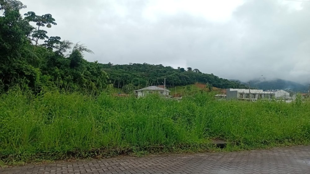 Terreno - Venda - Serto do Maruim - So Jos - SC